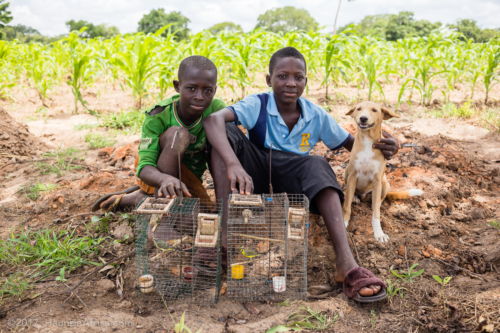 The Bird Trap The Hauns in Africa