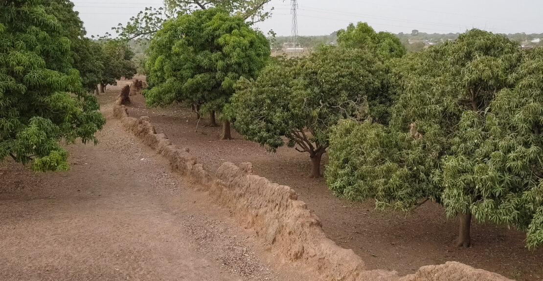 20170329-whaun-najeringa-wall-nalerigu-north-east-region-ghana-0254